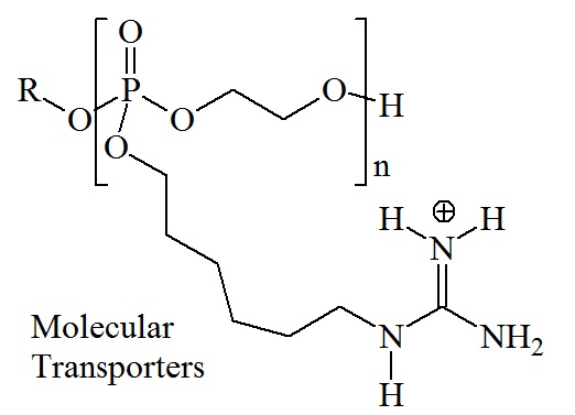 Molecular Transporters