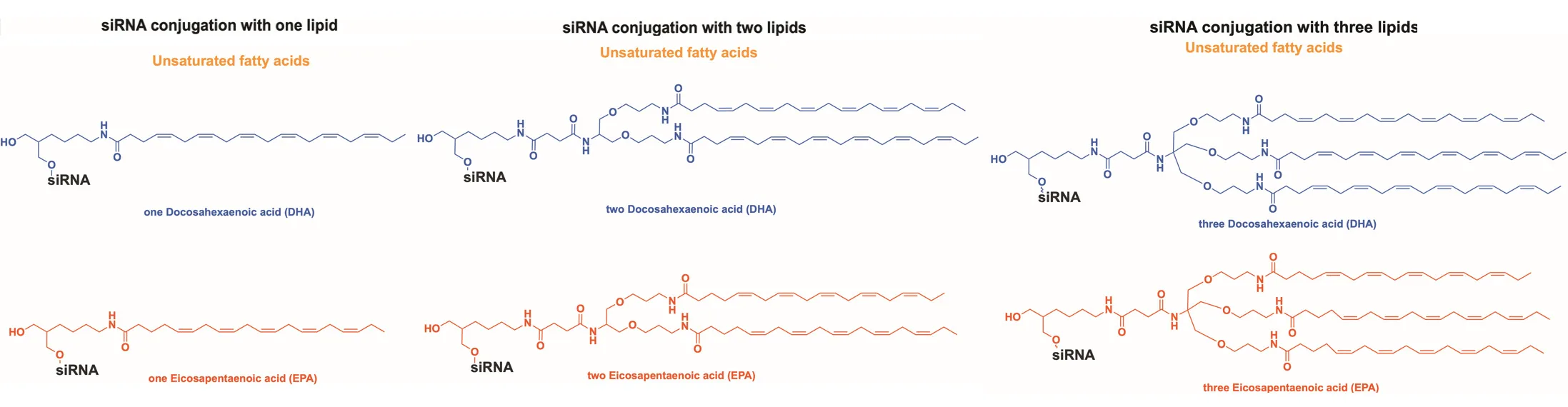 Unsaturated fatty acid DHA oligonucleotide valency diagram