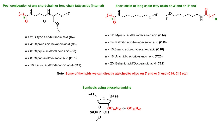 Lipid delivery conjugation platforms