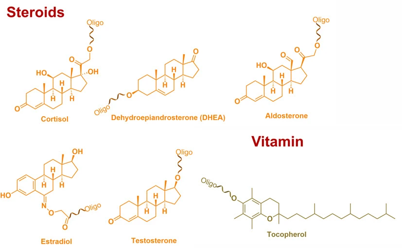 Representative steroid oligonucleotide conjugates including cortisol, DHEA, 17-alpha-hydroxyprogesterone, aldosterone, estradiol, and testosterone