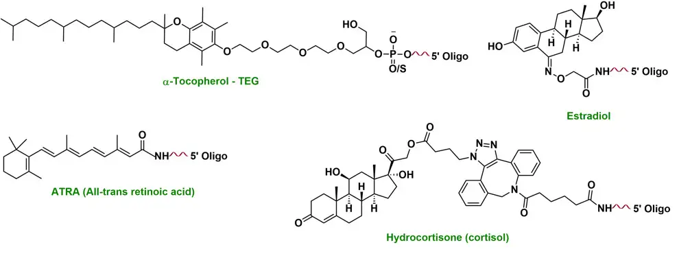 Unsaturated fatty acid DHA oligonucleotide valency diagram