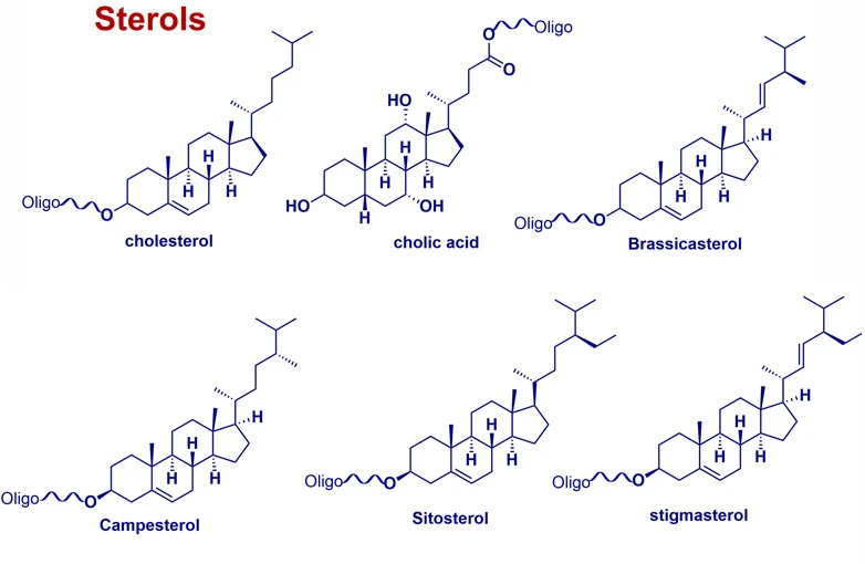 Representative cholesterol and sterol oligonucleotide conjugates including cholesterol derivatives, phytosterols, biosynthetic sterols, DHEA, diosgenin, and pregnenolone