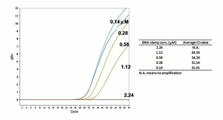 BNA-NC Clamping Real-time PCR