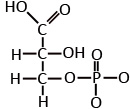 3-Phosphoglyceric acid