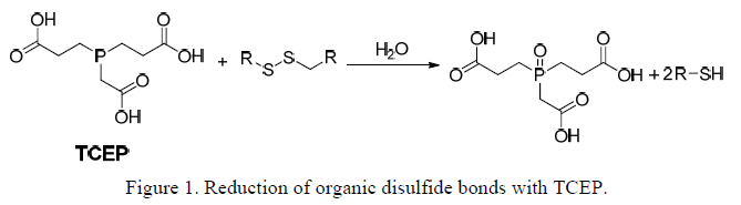 disulfide reducing reaction using TCEP