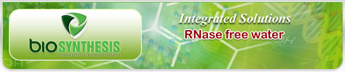 RNase free water