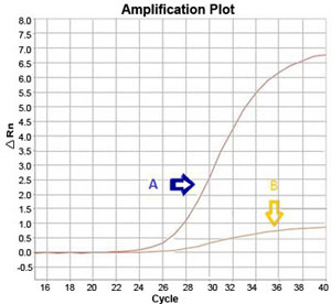 Comparative qPCR probe performance